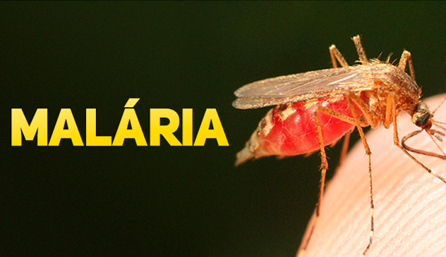 MALARIA O Que é Aquecimento Global?