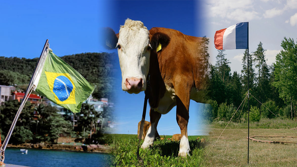 Compra de Carne entre França e Brasil