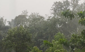 Chuva forte em Florianópolis