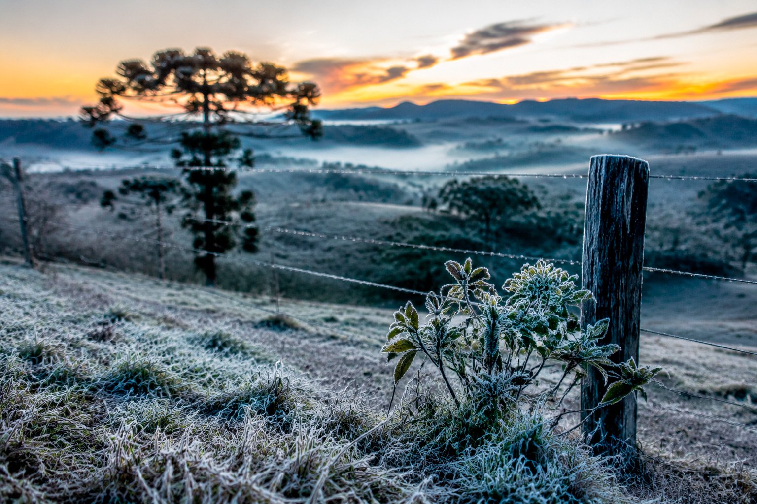 Tempo e Temperatura frio ganha força