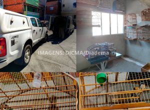 Polícia Civil flagra esquema de falsificação