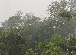 Chuva forte em Florianópolis